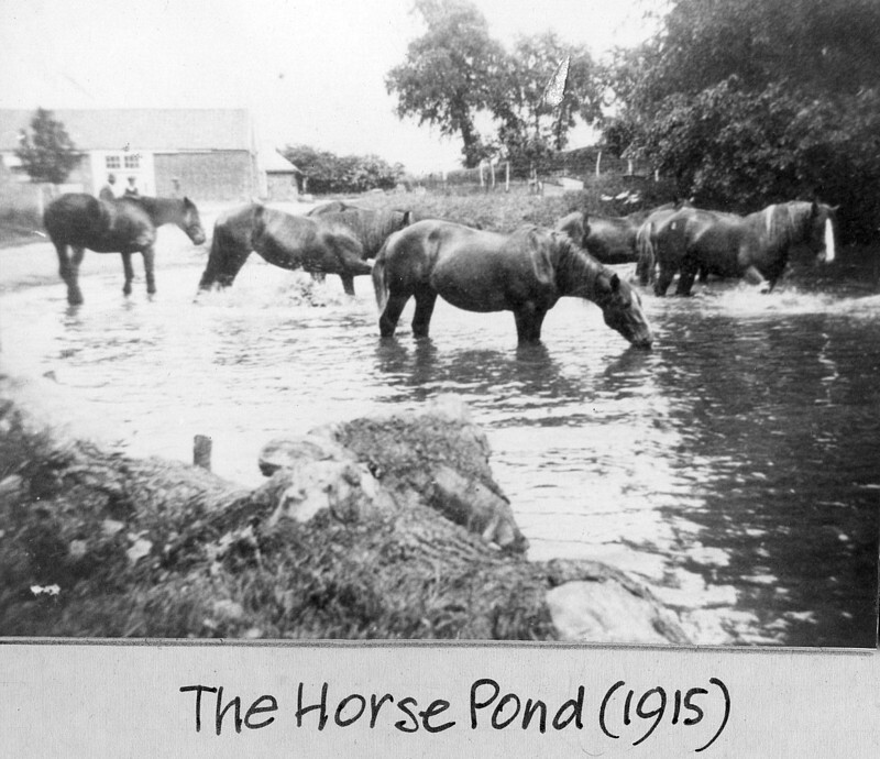 Goldingham horse pond 1915